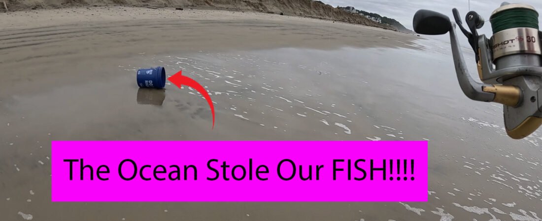The Ocean Stole our Surf Perch
