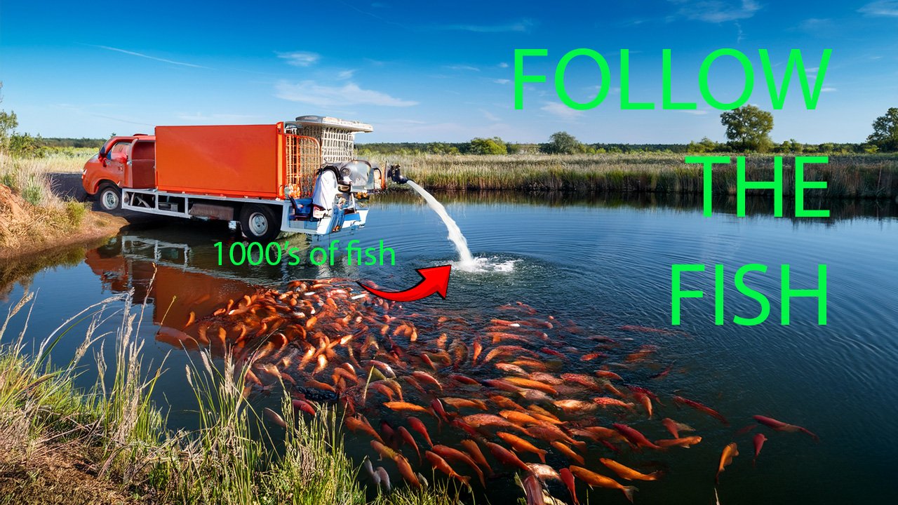 Follow The Fish Stocking Schedule in Oregon