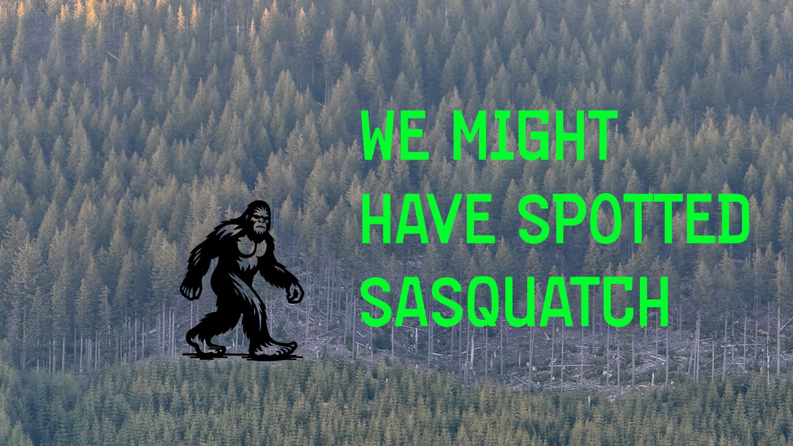 Hunting Insights from Jacob Tharp