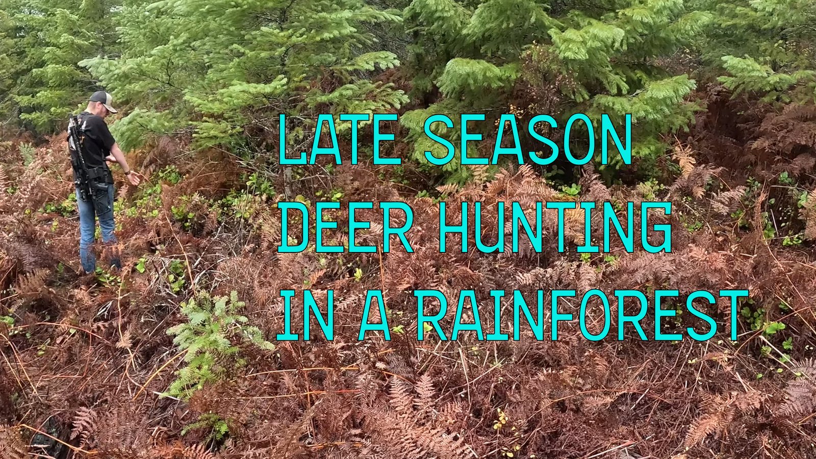 Late October Deer Hunting — Where Are the Bucks? 🦌- The Road Hunter Podcast