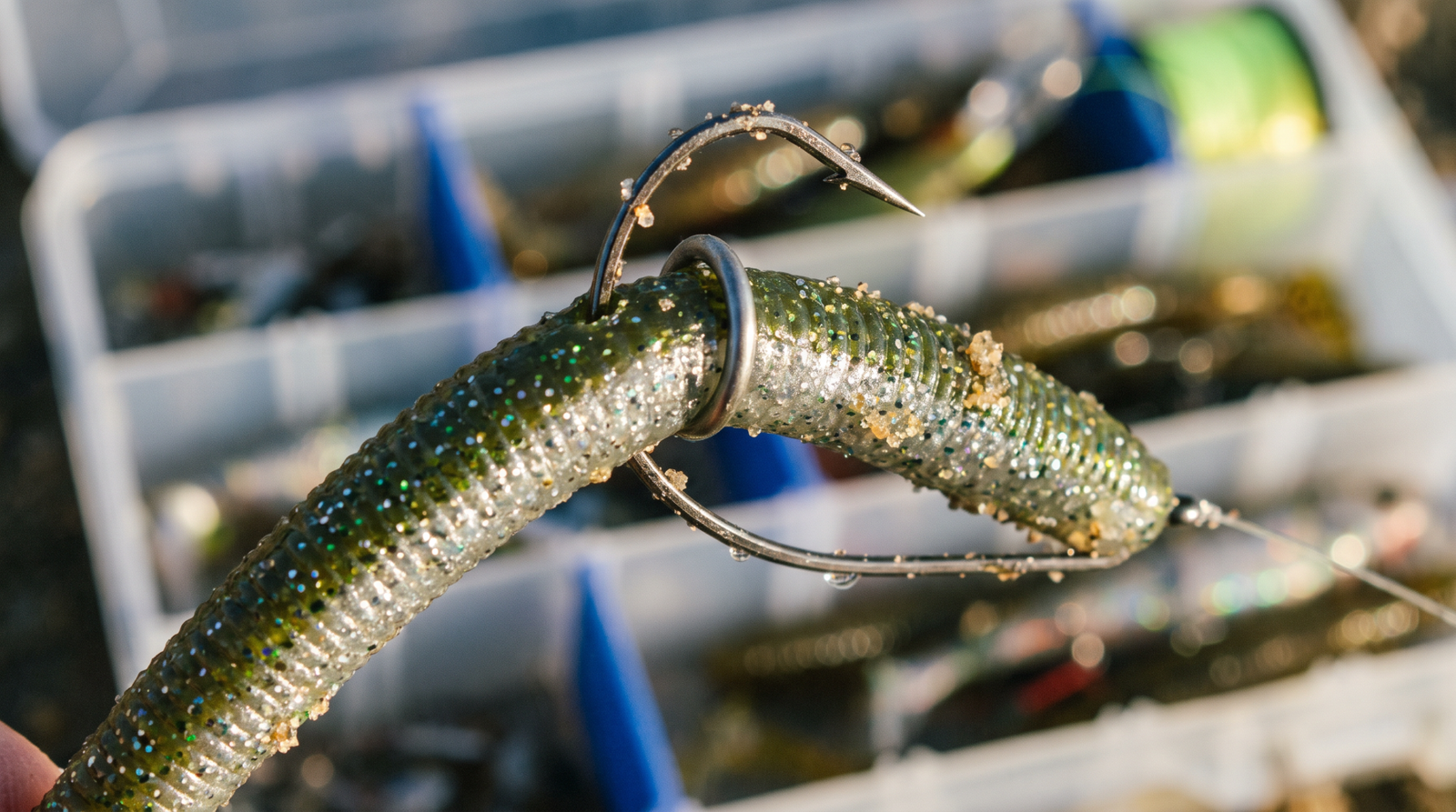 Close-up of a wacky-rigged soft plastic worm with O-ring bass fishing setup and hook placement